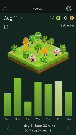 daily_forest_en